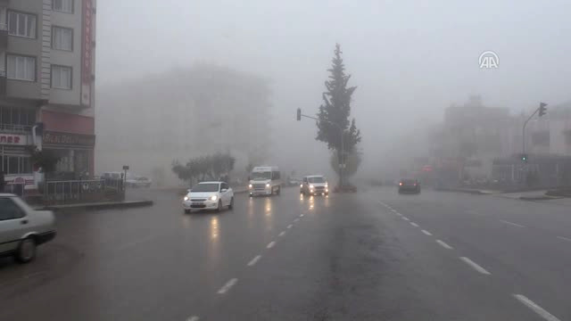 Yoğun Sis Etkili Oldu