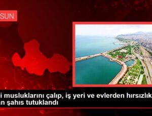 Cami musluklarını çalıp, iş yeri ve evlerden hırsızlık yapan şahıs tutuklandı