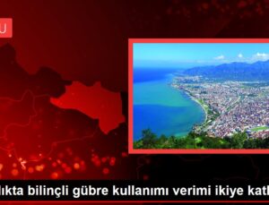 Fındıkta bilinçli gübre kullanımı verimi ikiye katladı