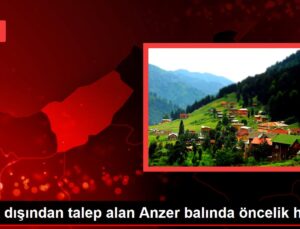 Yurt dışından talep alan Anzer balında öncelik hastalara