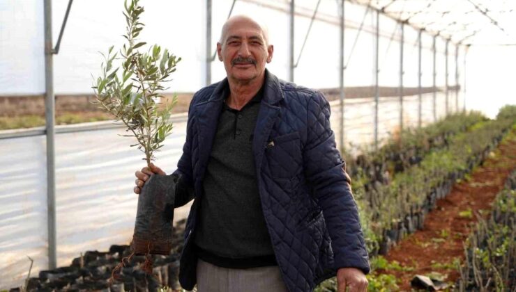 Emekli İmam Kilis’te Kendi Sera İşini Kurdu