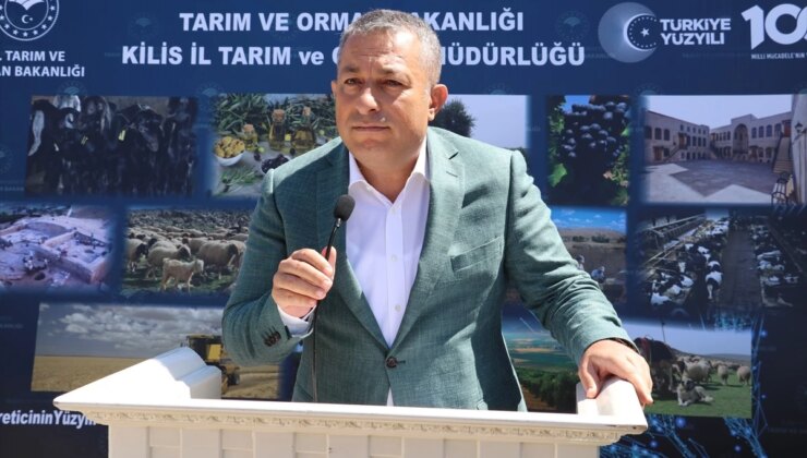 Kilis’te küçükbaş hayvancılığa takviye