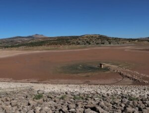 Kilis’te Balıklı Göleti’nde Su Çekilmesi Balık Vefatlarına Neden Oldu