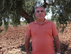Kilis’te Zeytin Hasadı İçin İkazlar