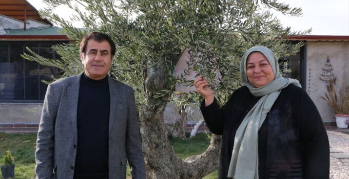 Kilisli çift, zeytinyağıyla memleketler arası müsabakalarda 26 madalya kazandı